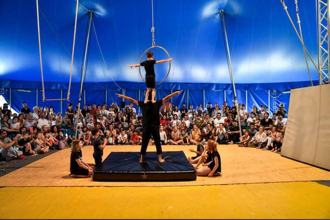 Mitch - piccolo circo