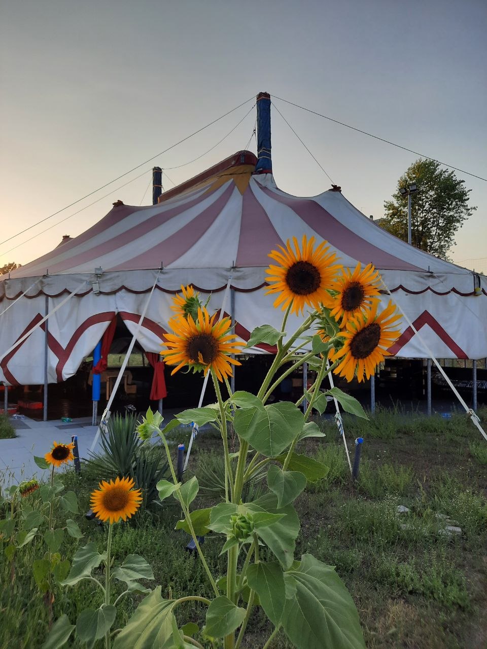 Il tendone di Big Top Monza
